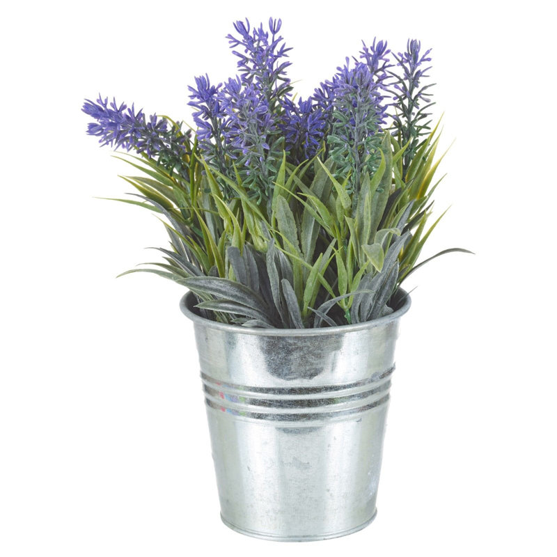 Symple Stuff Artificial Lavender Desktop Plant in Pot Wayfair.co.uk